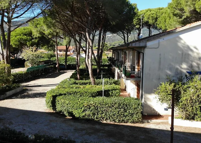 Bilocali Delfino - Spazi Esterni, Aria Condizionata E Posto Auto